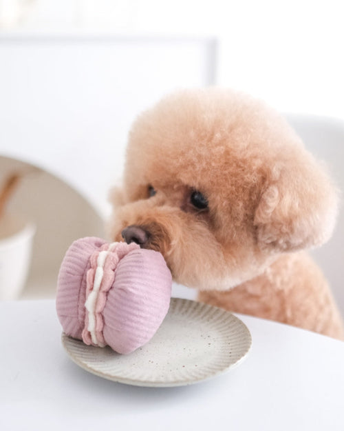 Petit Paws Pastry Duo Dog Toy