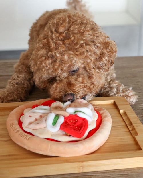 Pizza My Heart Snuffle Mat Dog Toy