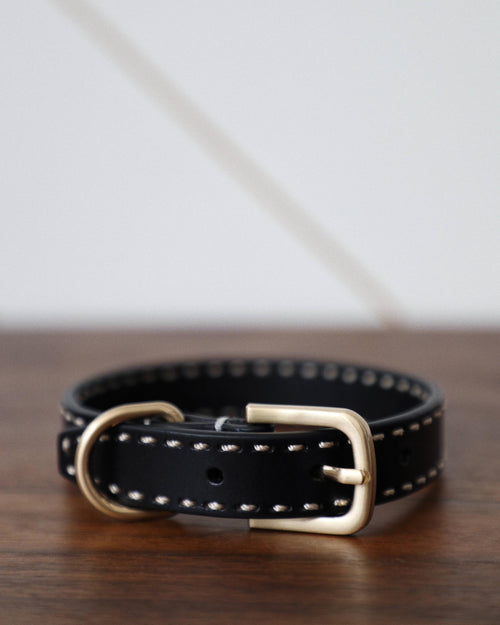 Take the Lead Black Leather Dog Collar