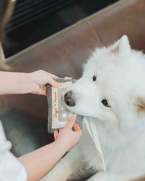 Fun Cassette Tape Dog Toy - Retro design for hours of squeaky fun for your dog!