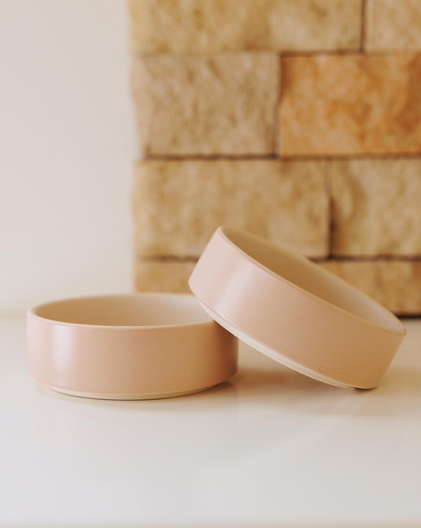 Bowled Over Modern Blush Dog Bowl