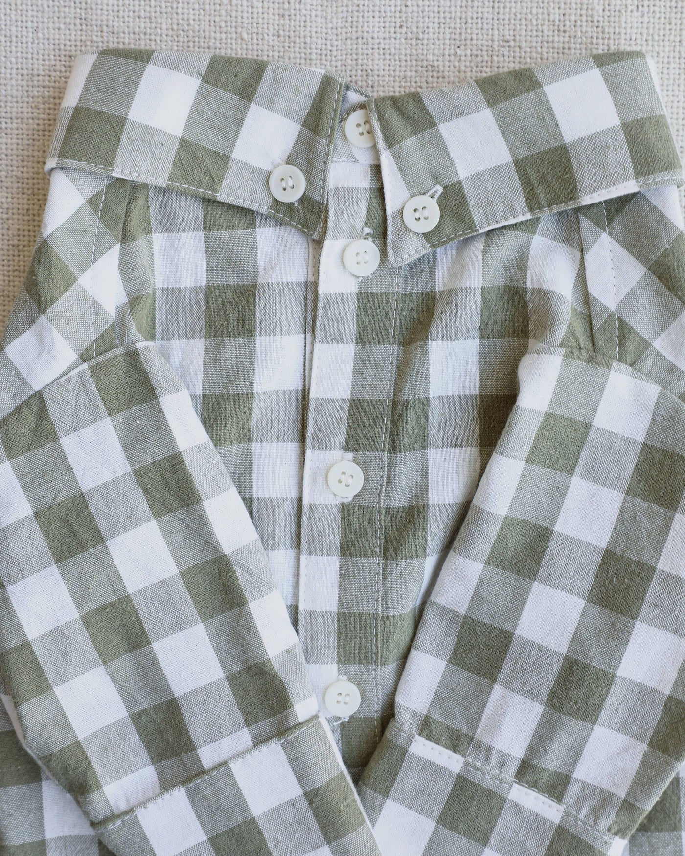 Sylvan Moss Gingham Dog Shirt Close Up