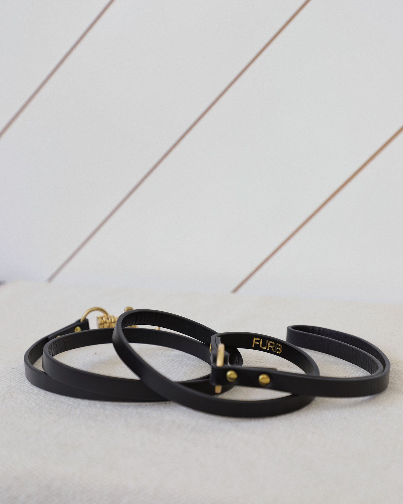 Cannon Black Leather Dog Leash