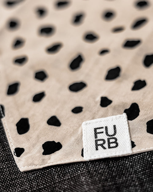 Apollo Dot Print Bandana Image