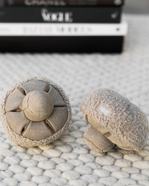 Golden Teacher Snuffle Mushroom Image