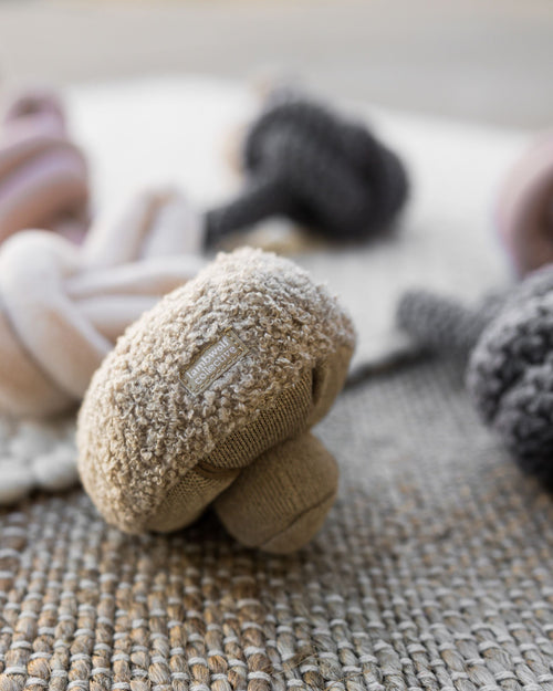 Golden Teacher Snuffle Mushroom Image