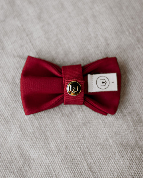 Walk of the Town Ruby Bow Tie Image