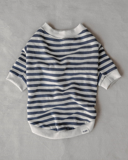 Camden Charcoal Striped Dog Sweatshirt female french bulldog clothes