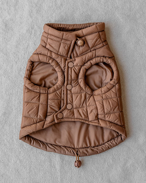 maxbone Easy Fit Jacket in Camel Image. corgi jacket 