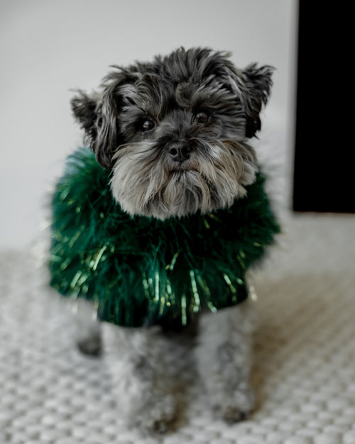 Christian Cowan Glitz Jumper Product Image Detail. pug mom fancy sweater 