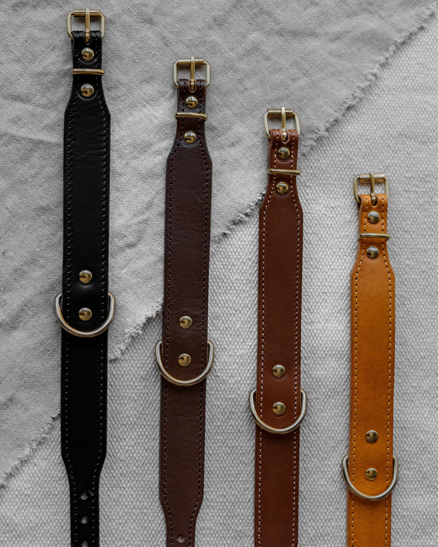 Multiple Rocco Leather Collars