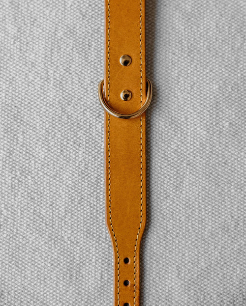 Rocco Leather Collar