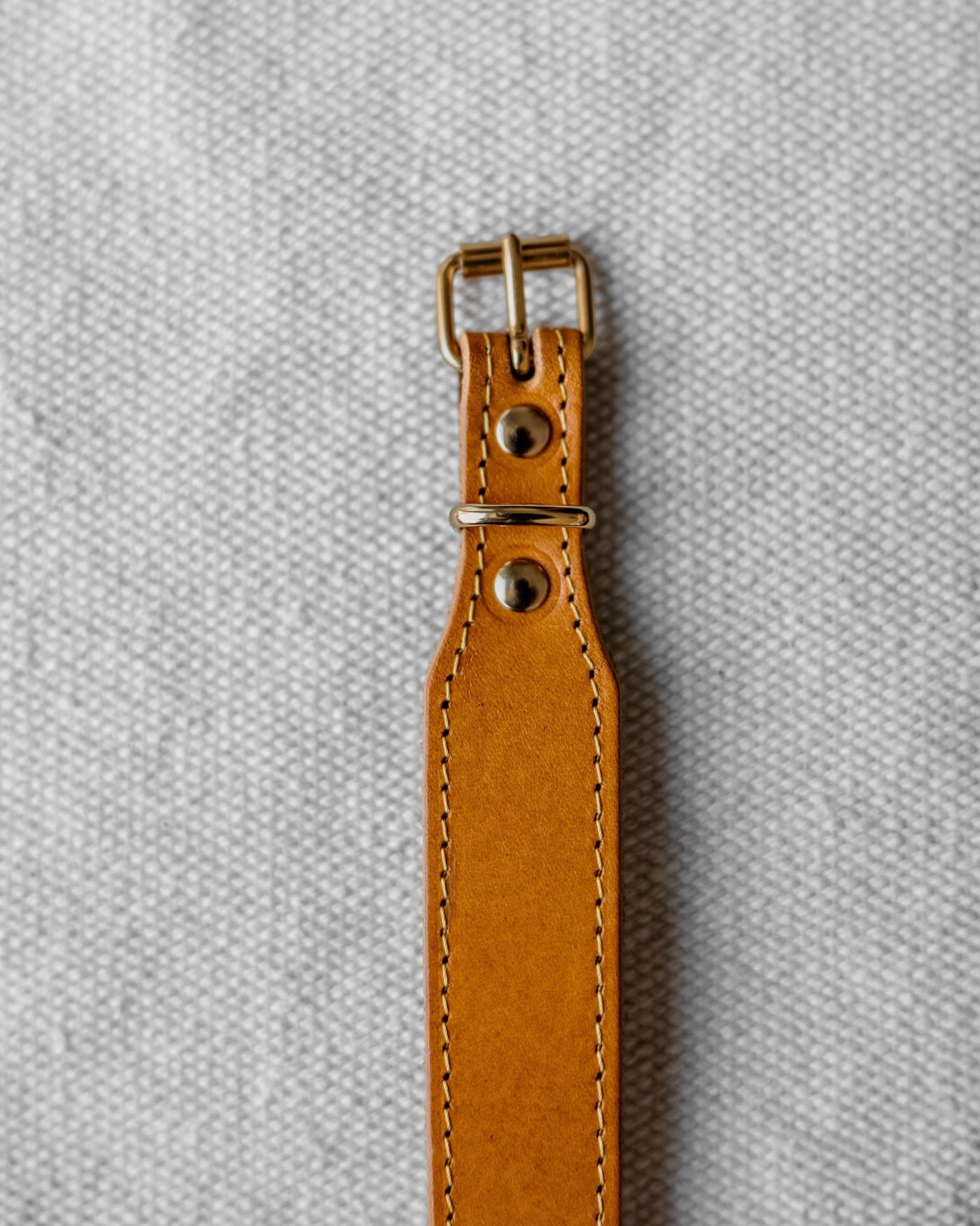 Rocco Leather Collar