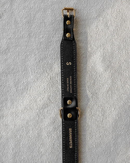 Rocco Leather Collar