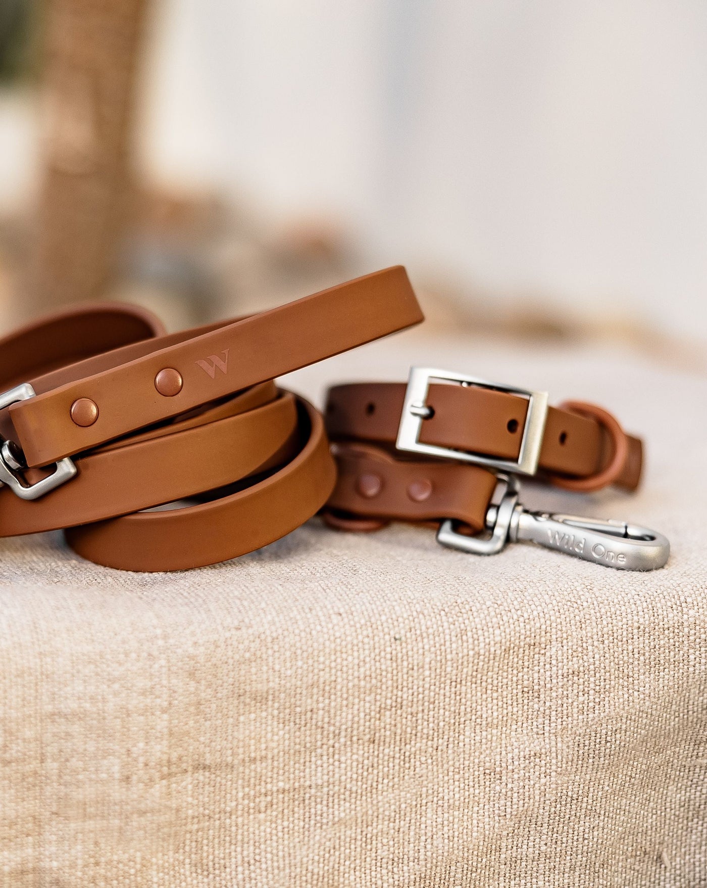 Wild One Cocoa Leash Image