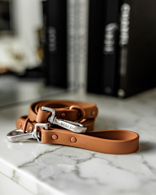 Wild One Cocoa Leash Image