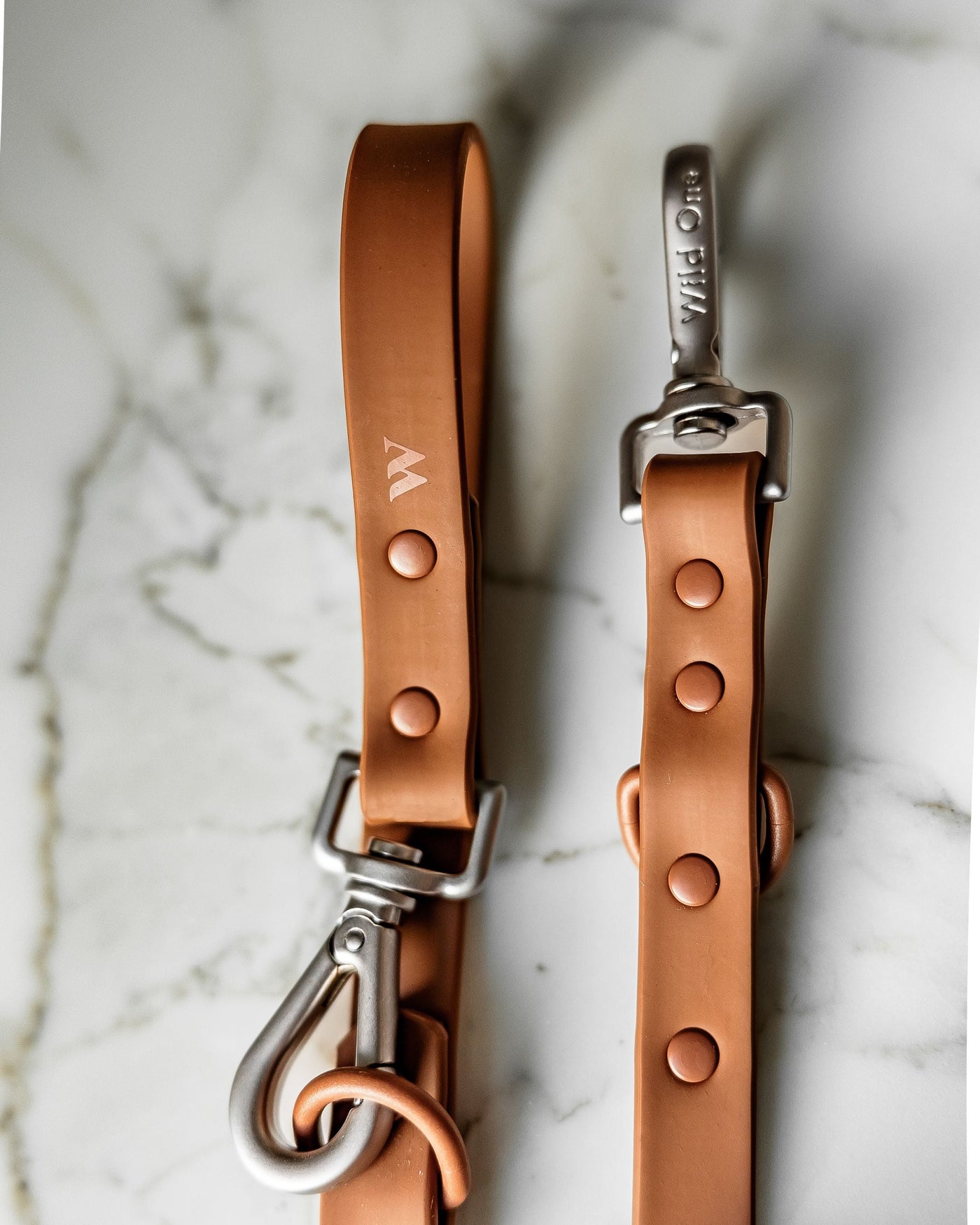 Wild One Cocoa Leash Image