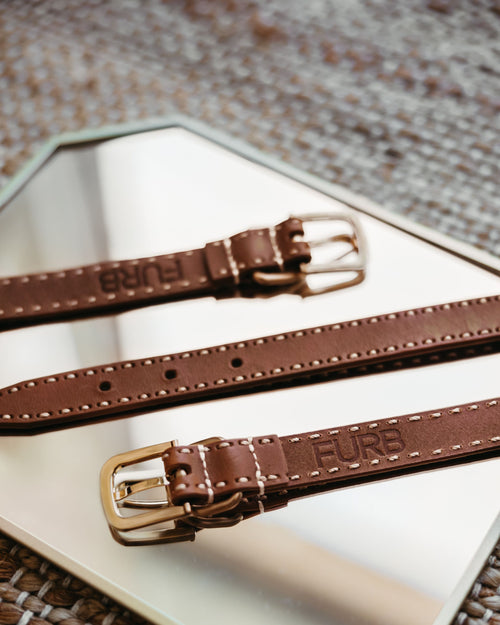 Take the Lead Tan Leather Collar Product Image Detail