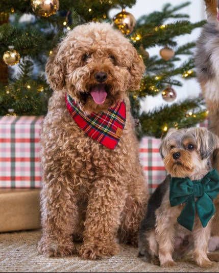 Tartan Tidings Flannel Dog Bandana