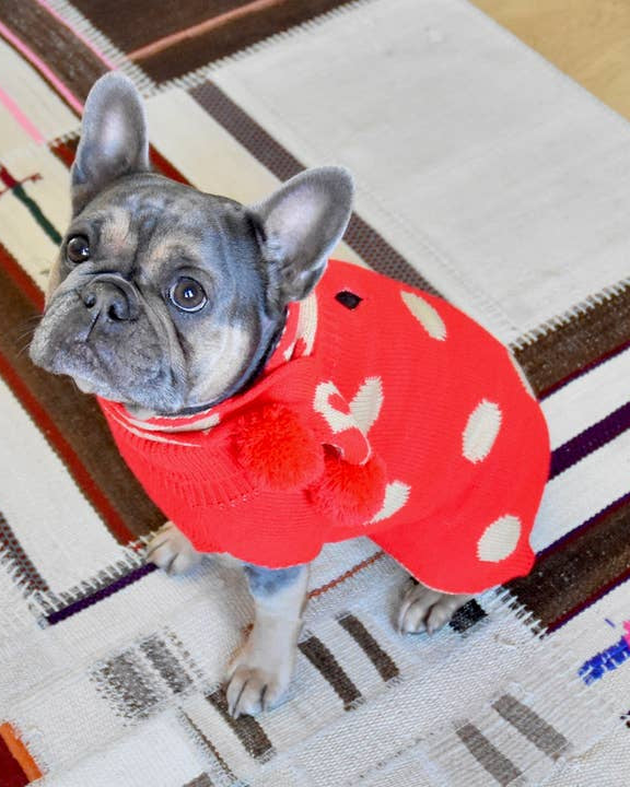 Jingle Pup Reversible Dog Sweater