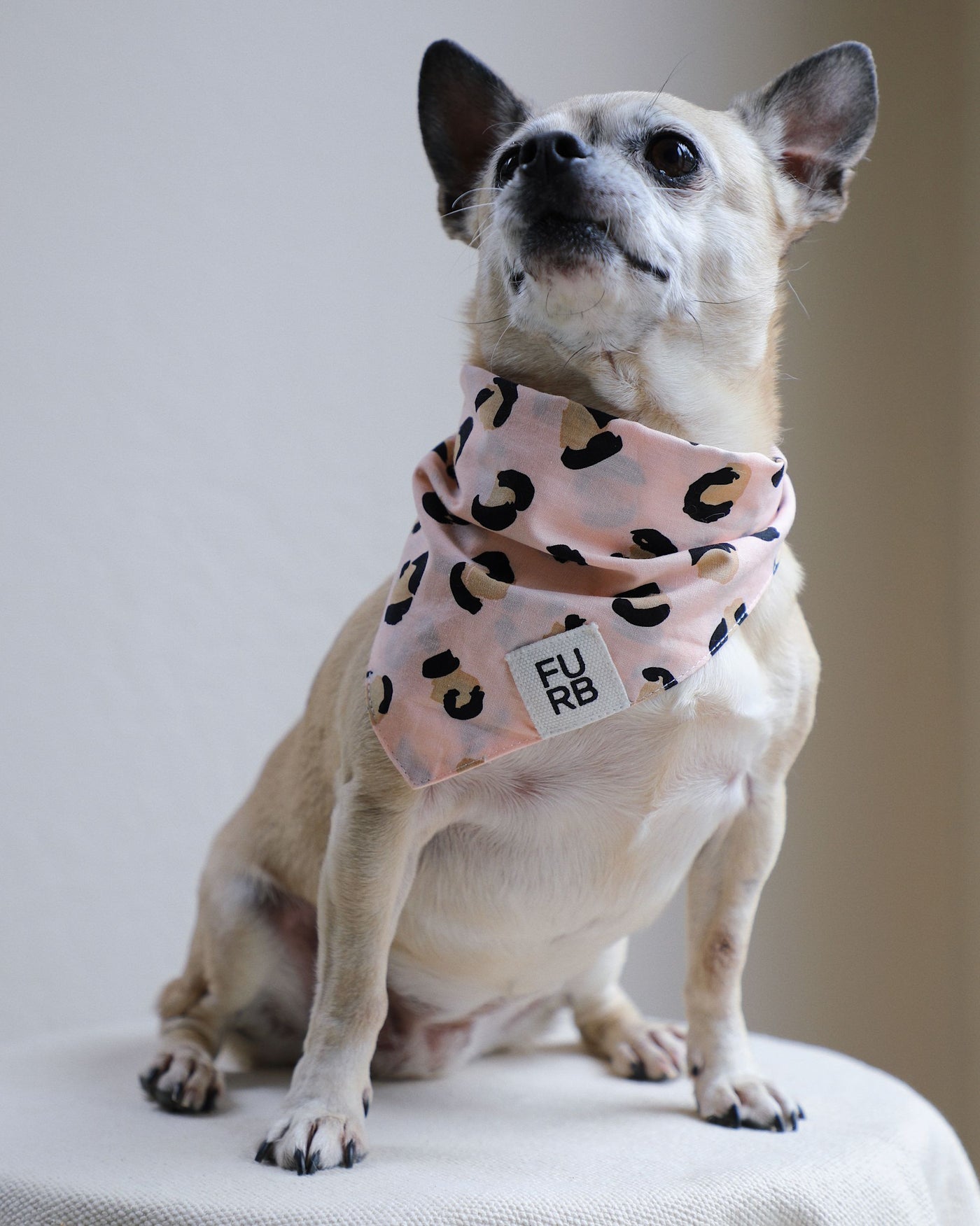 Juno Peach Leopard Dog Bandana