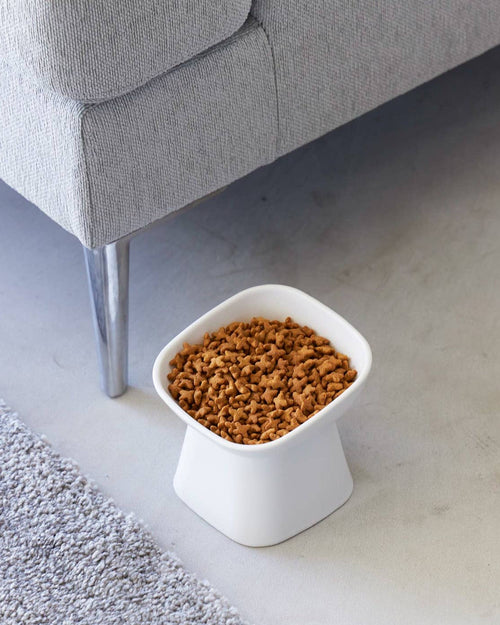 Café Canine White Tilted Dog Bowl