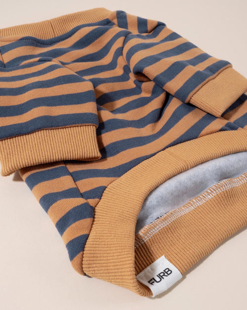 Camden Blue + Goldenrod Striped Dog Sweatshirt