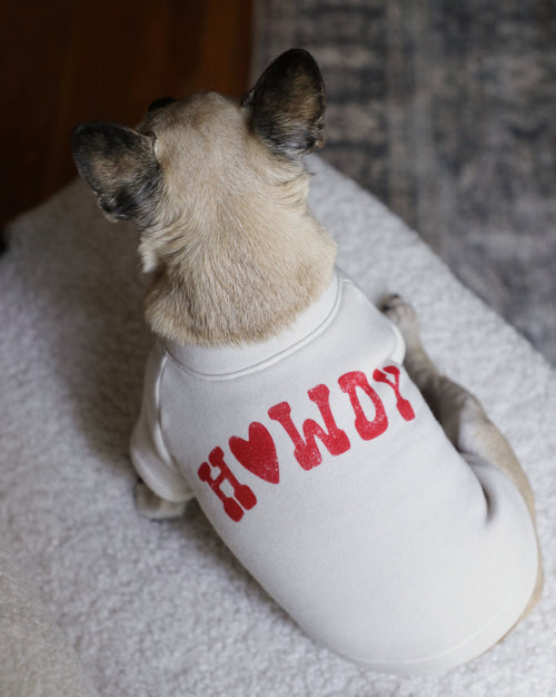 Howdy Pawtner Dog Sweatshirt beagle dog outfits