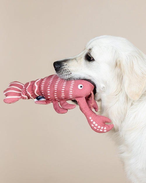 Lobster Roll Canvas Dog Toy