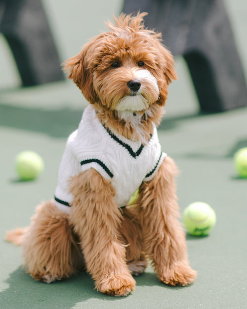 Forty Love Ivory Cable Knit Sweater