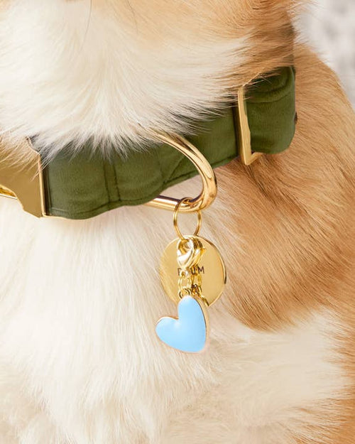 Blue Heart Collar Charm