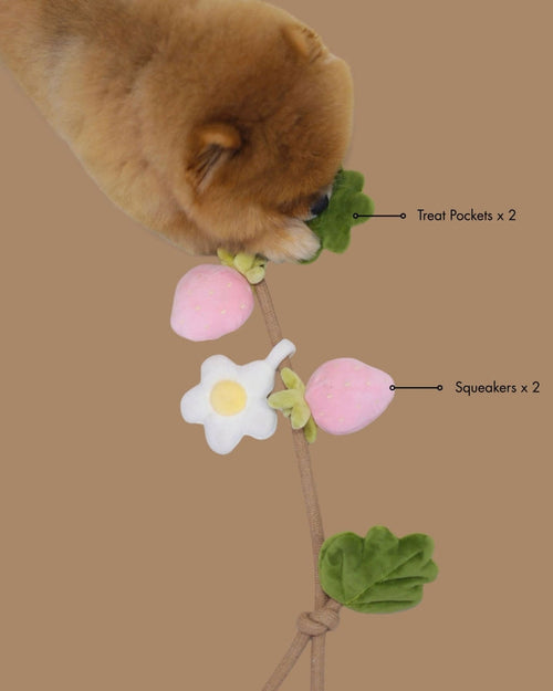 Off the Vine Strawberry Snuffle Rope Toy