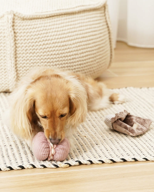 Petit Paws Pastry Duo Dog Toy