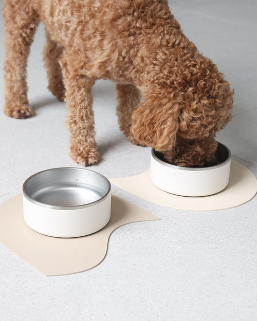 Supper Club Coconut Dog Bowl Set