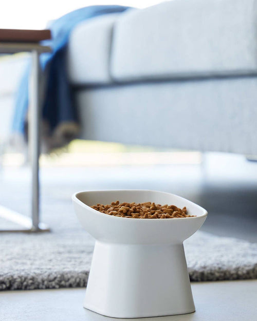 Café Canine White Tilted Dog Bowl