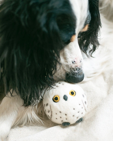 What A Hoot Snow Owl Wool Dog Toy