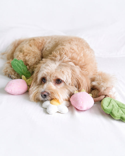 Off the Vine Strawberry Snuffle Rope Toy