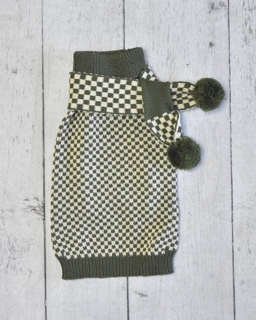 Small dog wearing green scarf, cozy knit for cold weather walks.