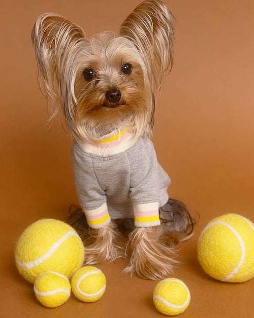 Comfortable grey dog shirt, designed for small and medium breeds, great for casual outings or lounging.