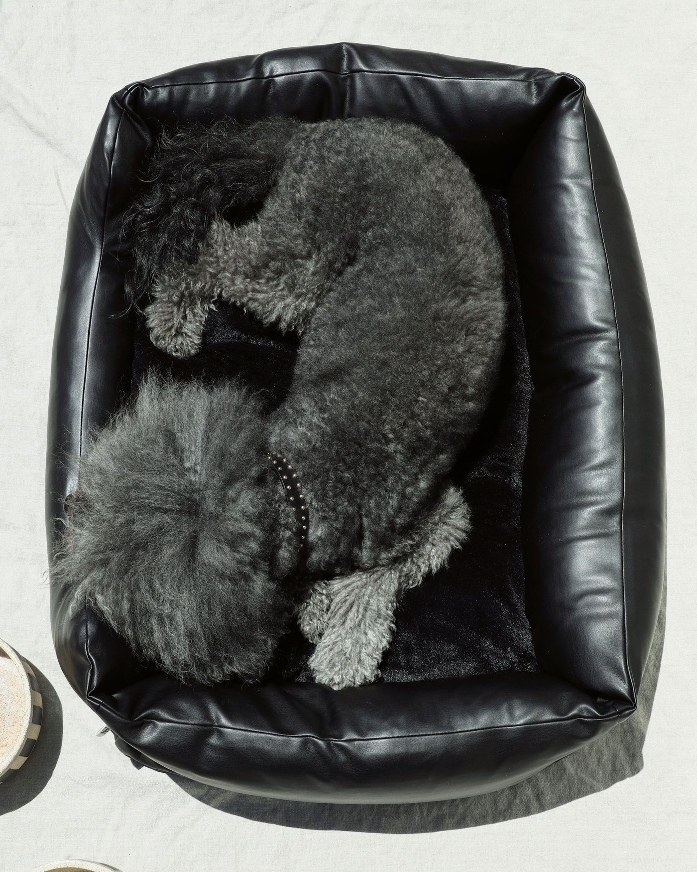 All Curled Up Black Structured Bed Close Up