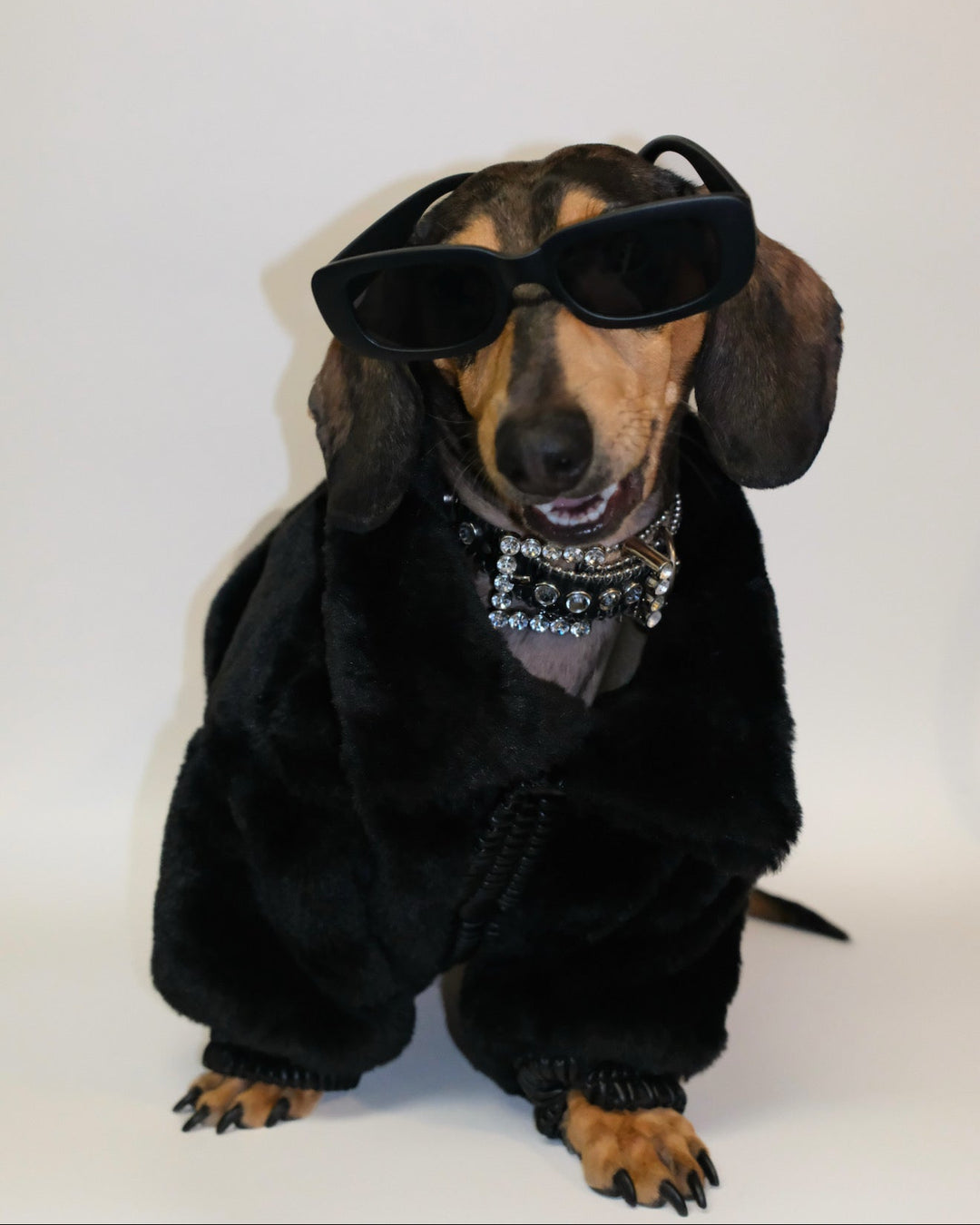 【新品未開封】andmary Doggy fur tops black Black Faux Fur and Leather Dog Jacket | FURB | Pet Fashion