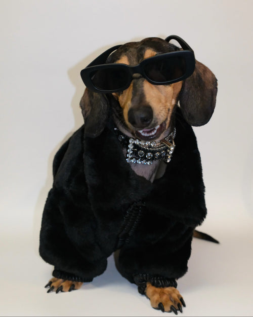 Broadway Black Faux Fur Dog Jacket