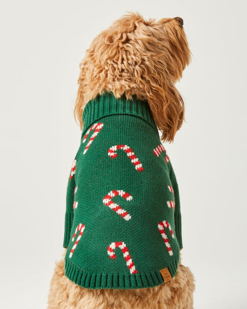 Candy Cutie Green Knit Dog Sweater