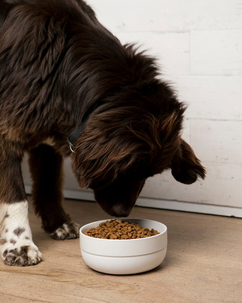 Little Foodie Grey Dog Bowl