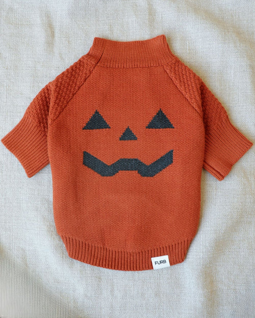 Pupkin Patch Dog Sweater