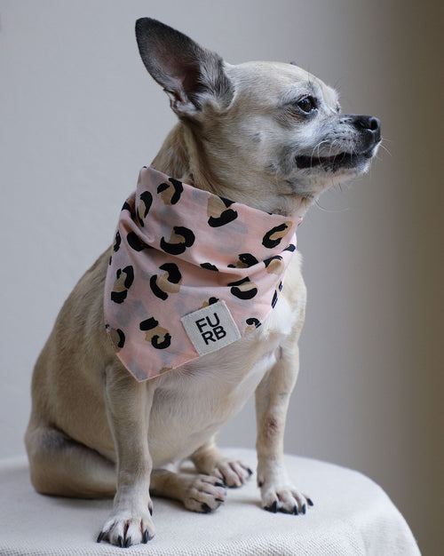 Juno Peach Leopard Bandana Product Image Detail