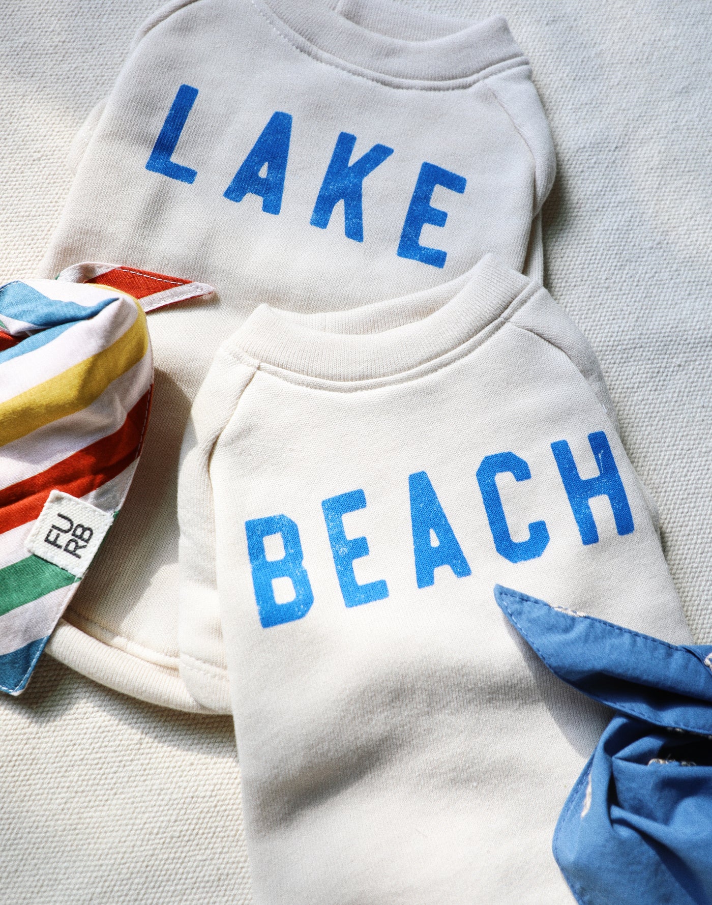 Beach Baby Dog Sweatshirt american beagle dog clothes