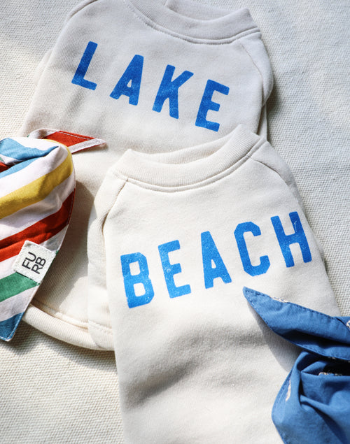 Beach Baby Dog Sweatshirt american beagle dog clothes