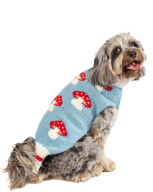 Forest Floof Mushroom Knit Dog Sweater