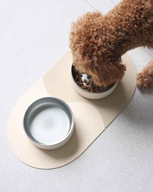 Supper Club Coconut Dog Bowl Set